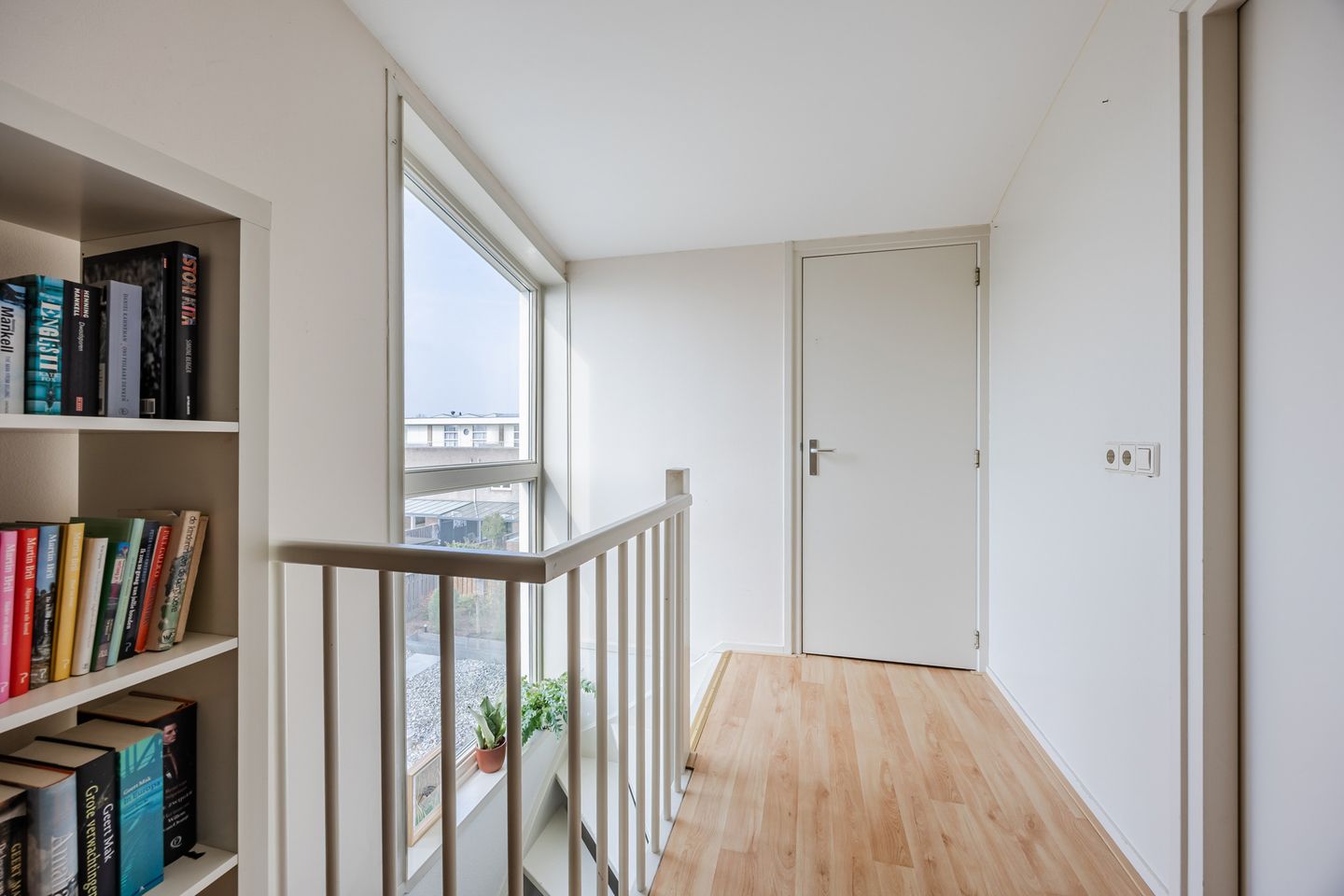 Photo 34 of Regenwulp 13