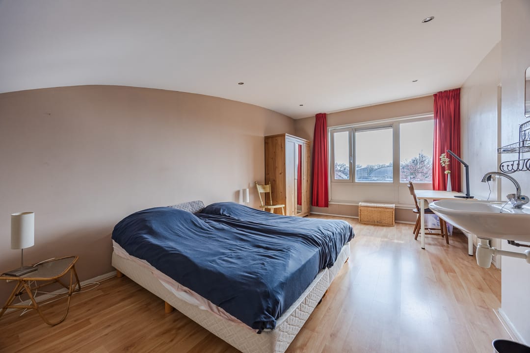 Photo 37 of Regenwulp 13