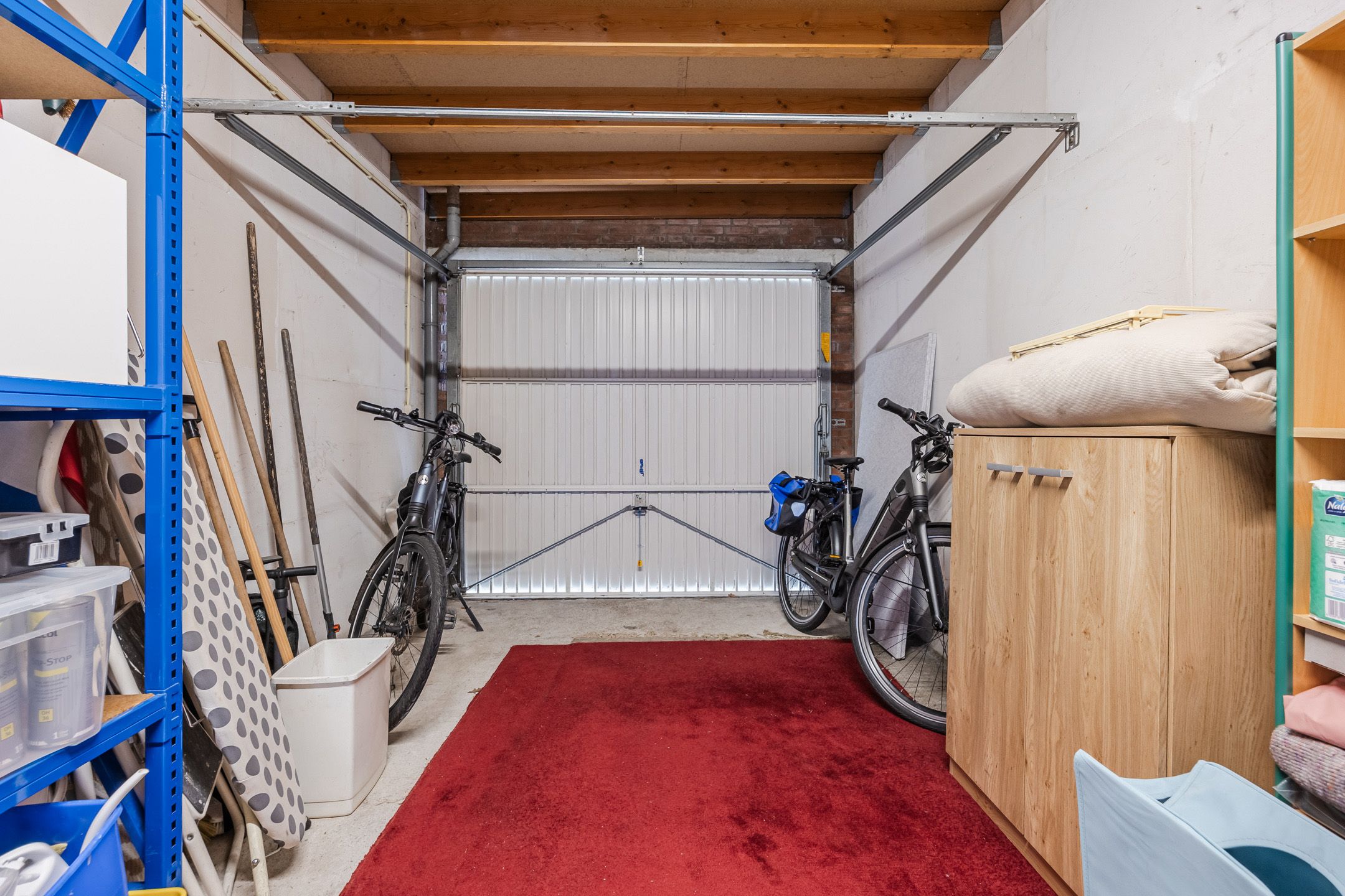 Photo 39 of Regenwulp 13