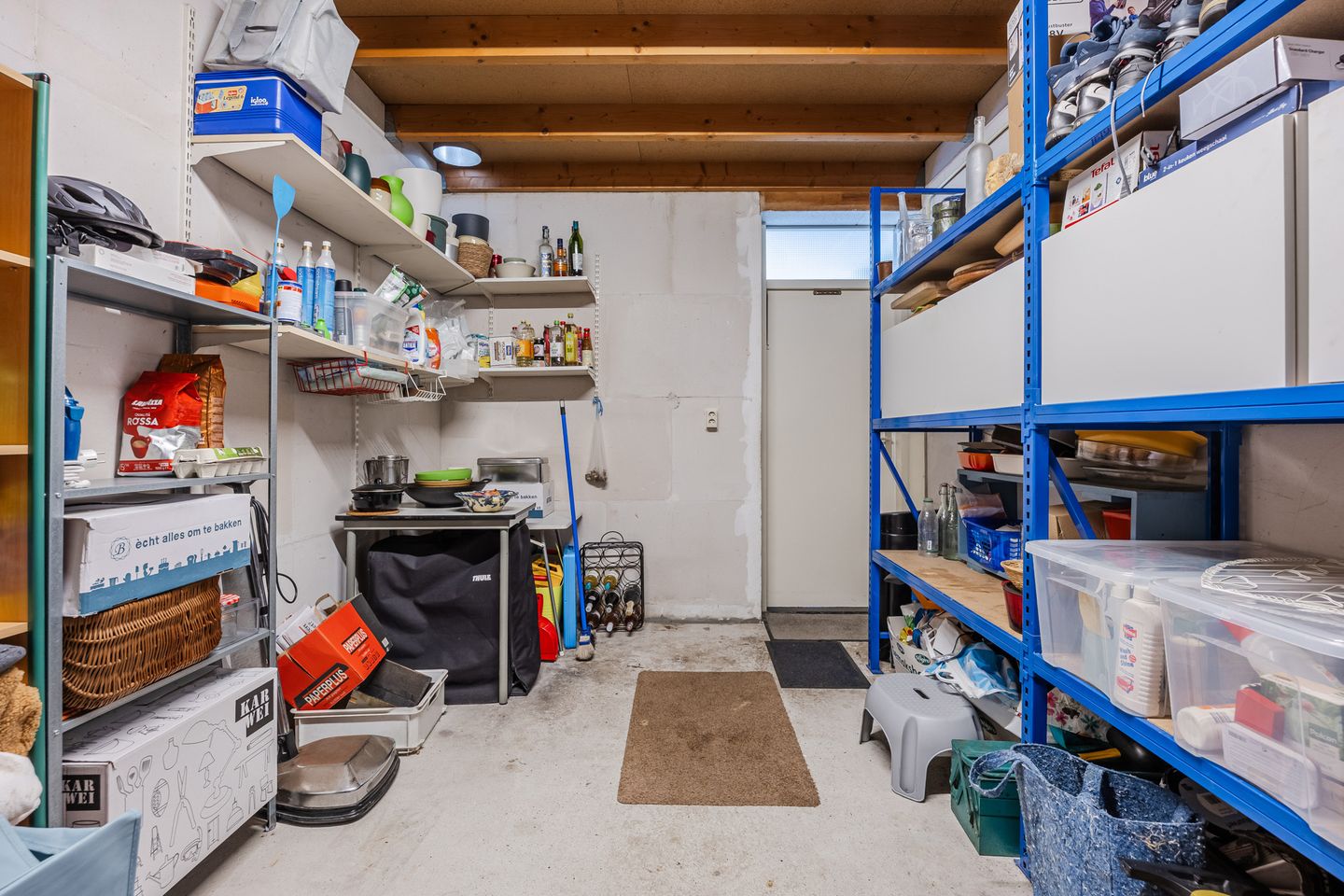 Photo 40 of Regenwulp 13