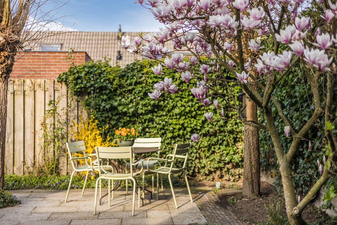 Photo 46 of Regenwulp 13