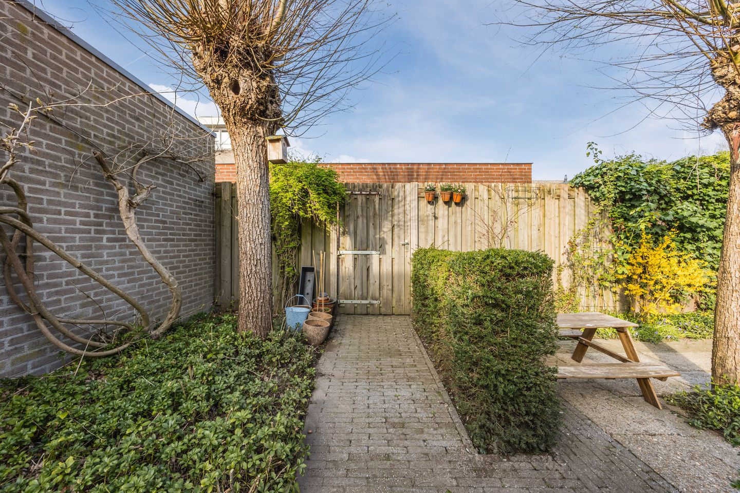 Photo 50 of Regenwulp 13