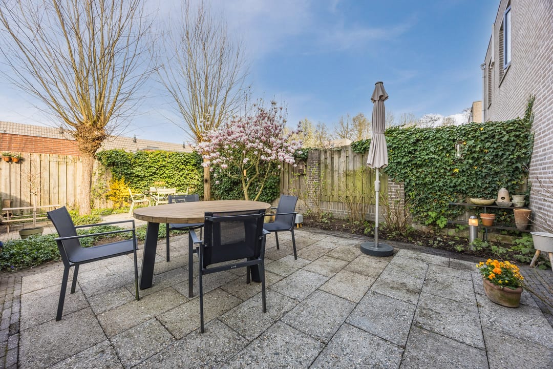 Photo 41 of Regenwulp 13