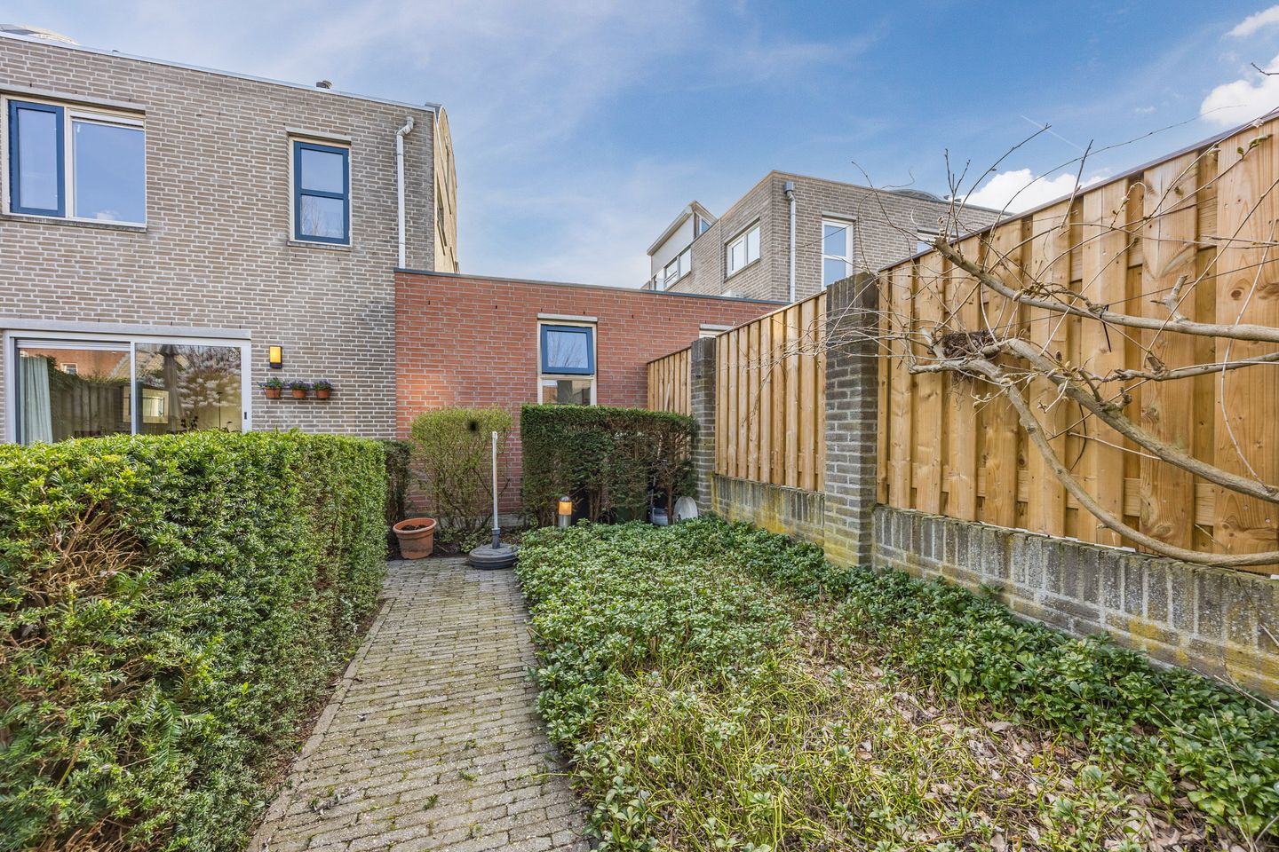 Photo 49 of Regenwulp 13