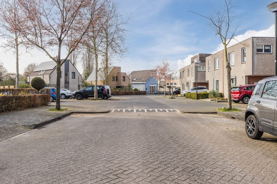 Photo 52 of Regenwulp 13