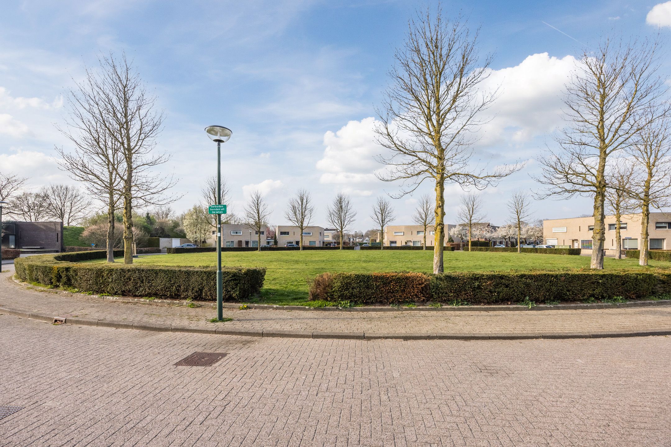 Photo 54 of Regenwulp 13