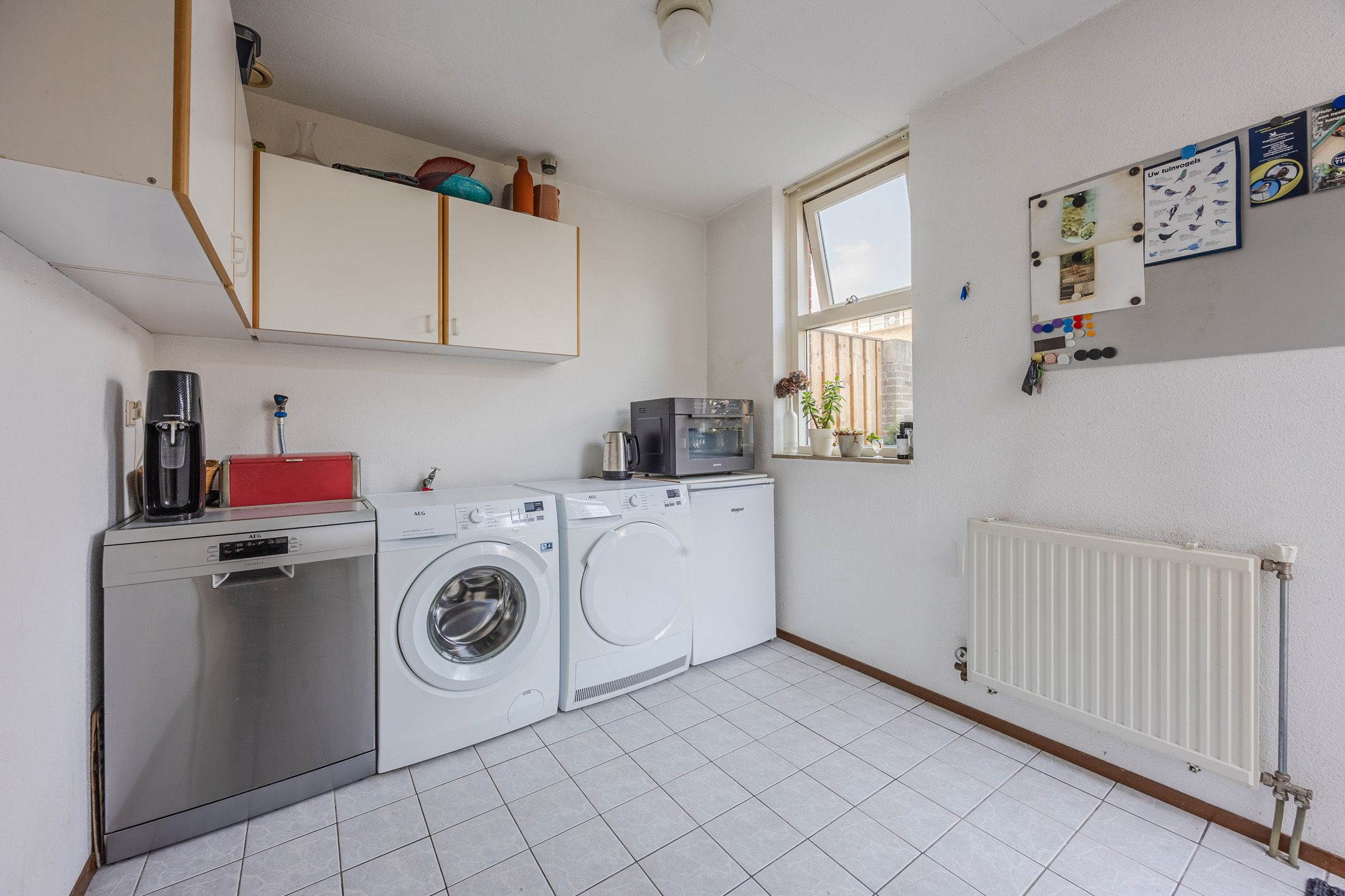 Photo 15 of Regenwulp 13