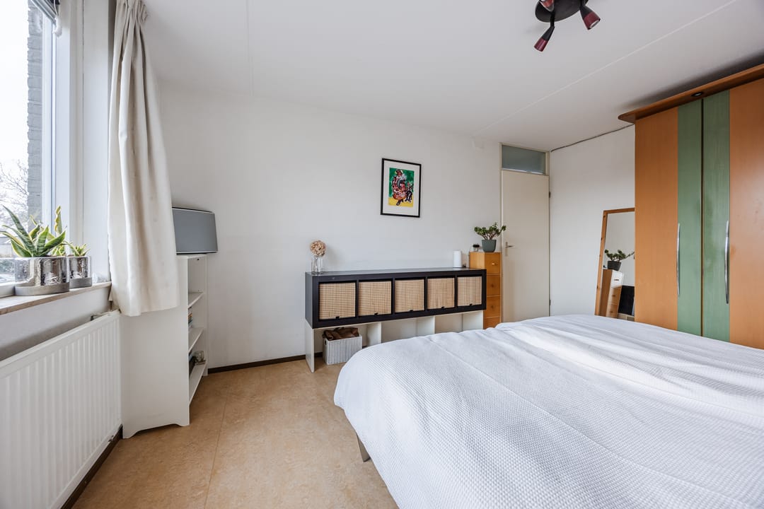 Photo 23 of Regenwulp 13