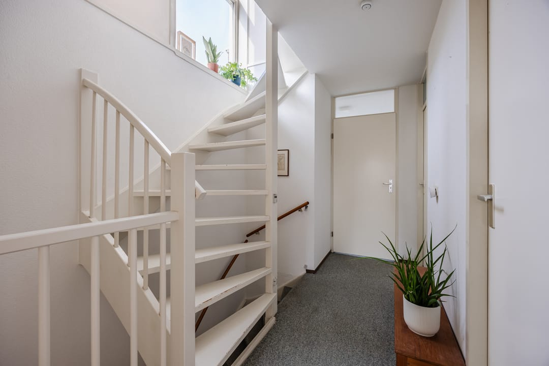 Photo 31 of Regenwulp 13