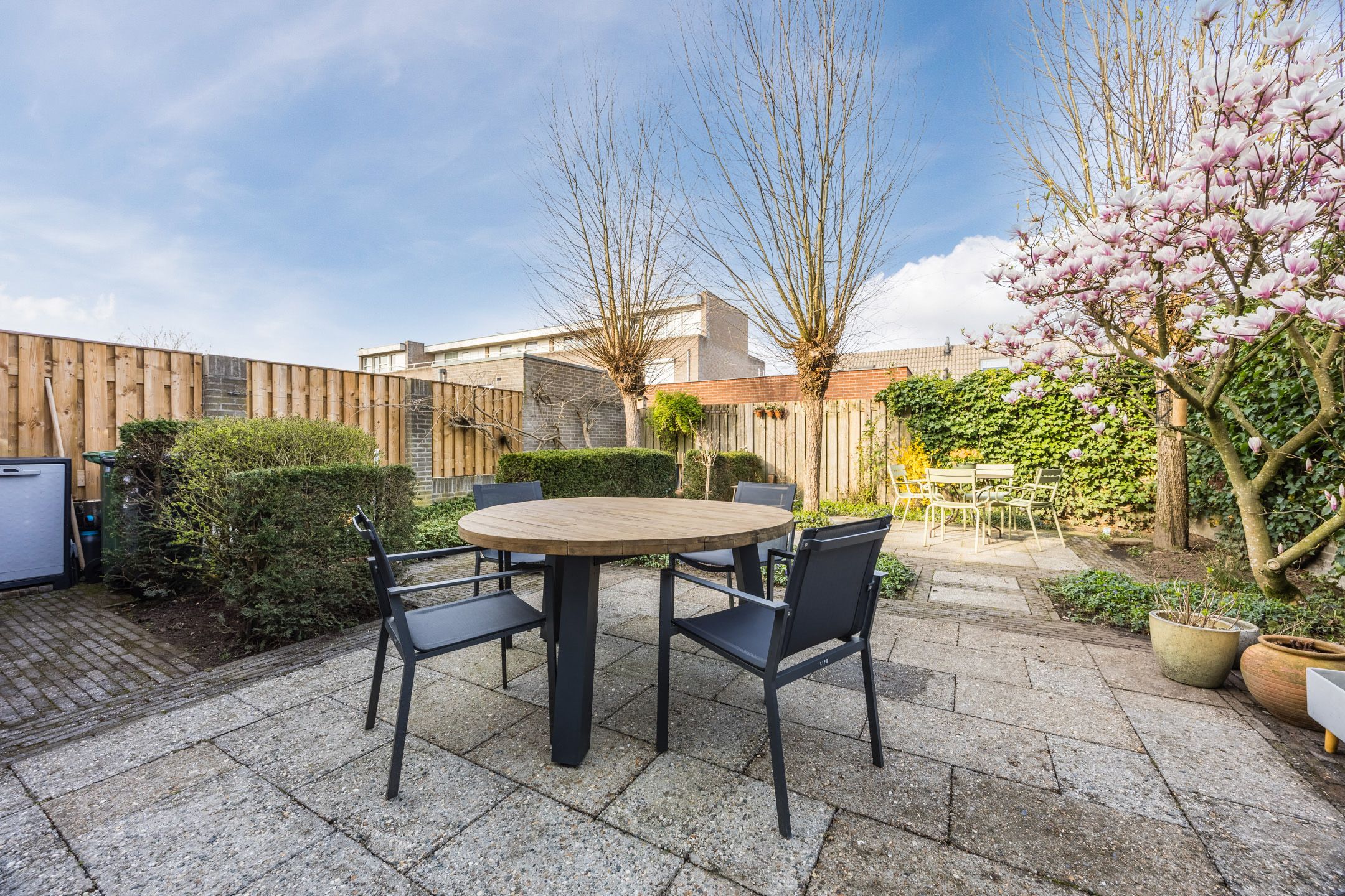 Photo 42 of Regenwulp 13