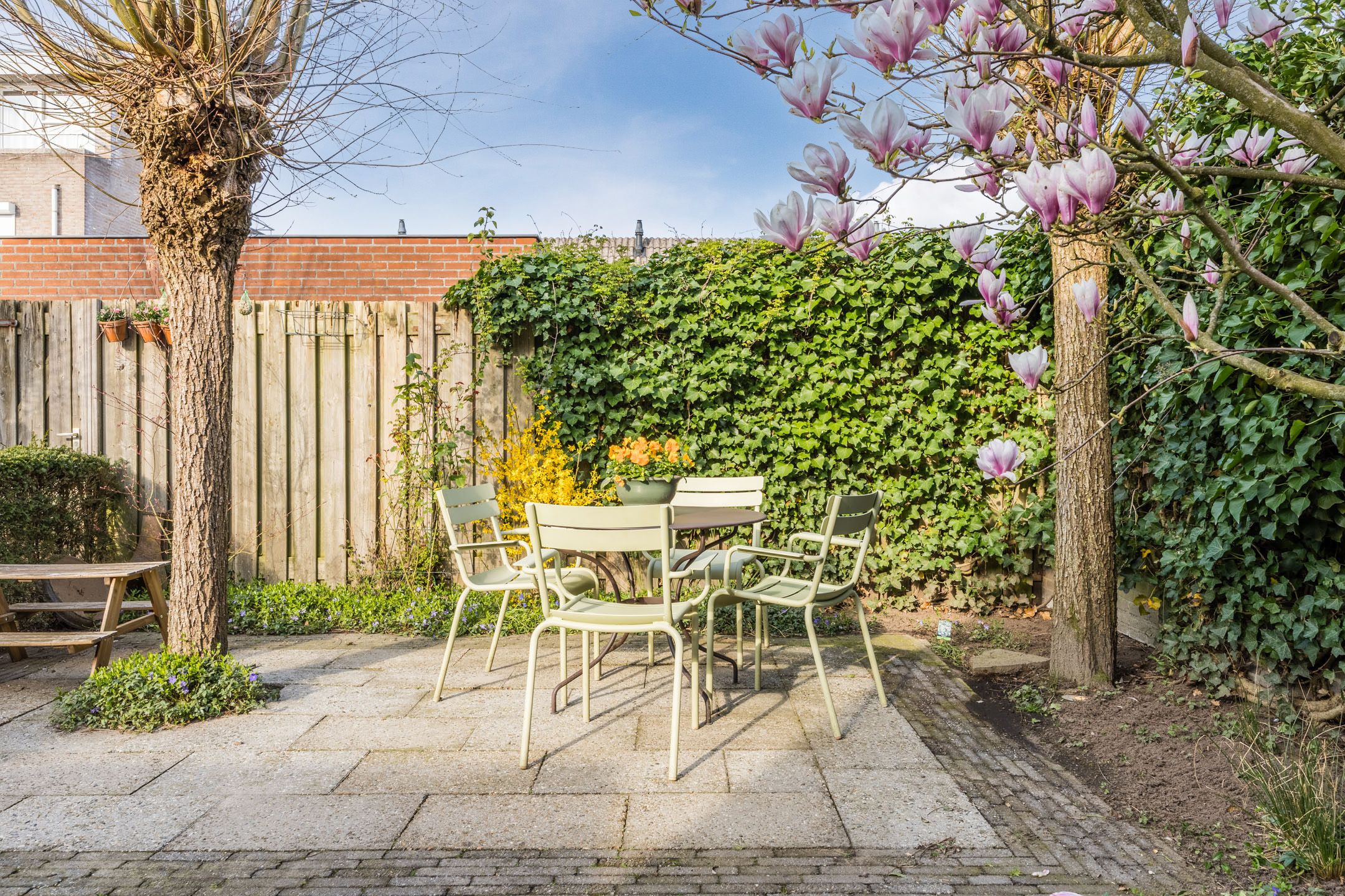 Photo 45 of Regenwulp 13