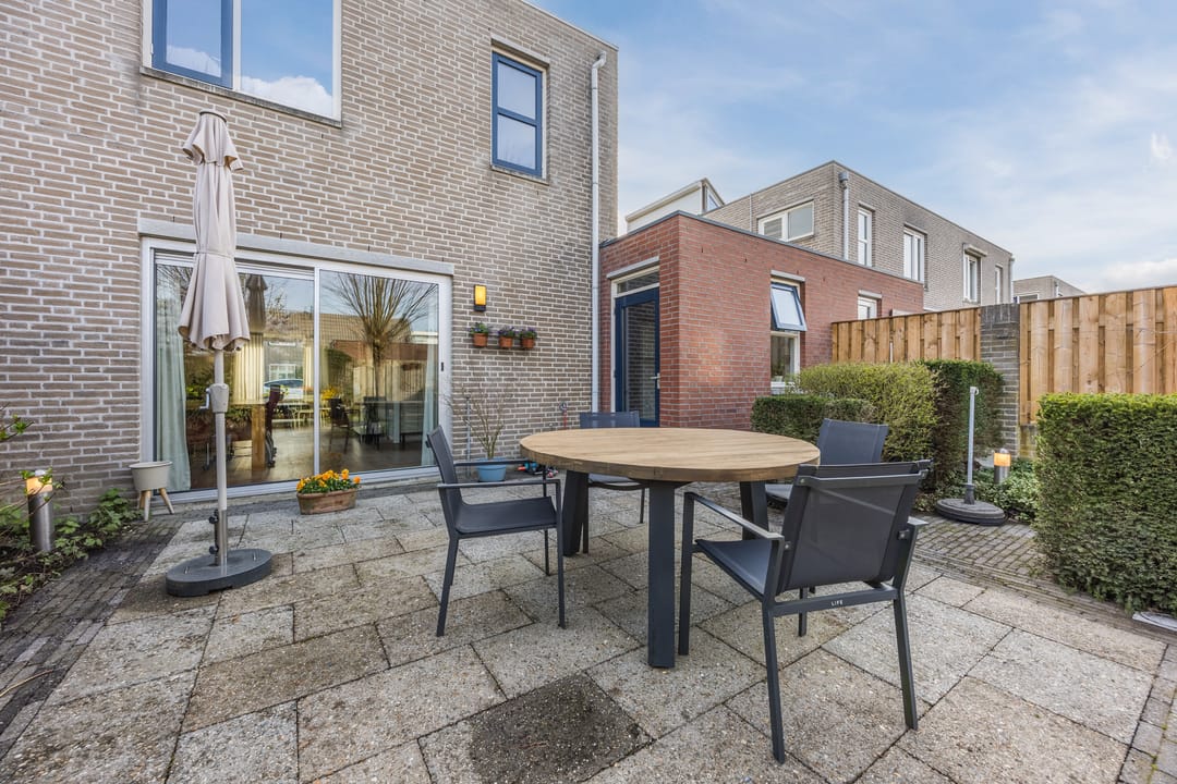 Photo 43 of Regenwulp 13