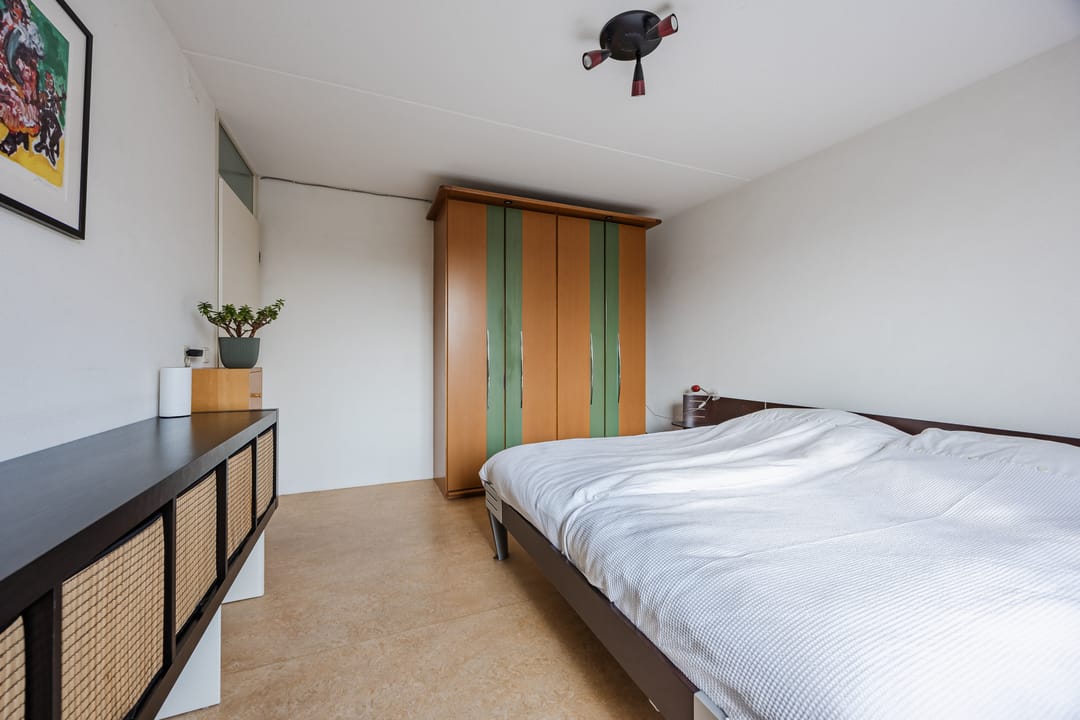 Photo 22 of Regenwulp 13