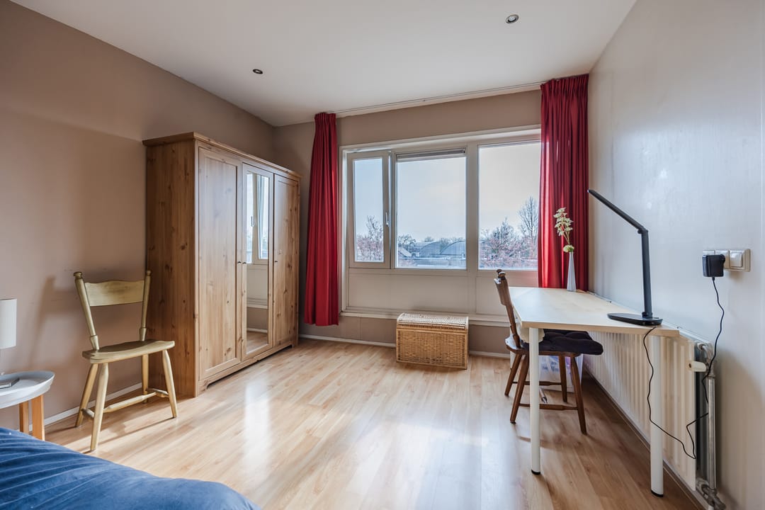 Photo 38 of Regenwulp 13