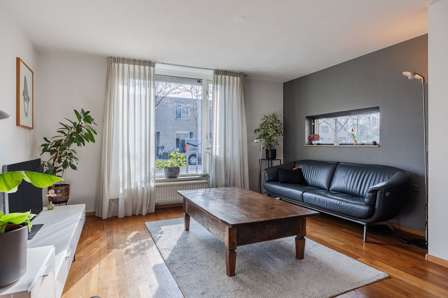 Photo 5 of Regenwulp 13