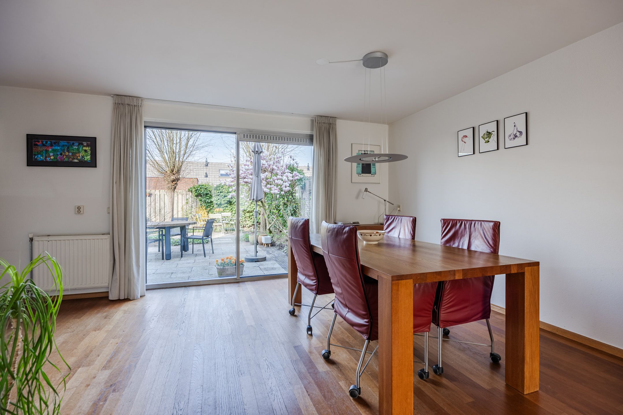 Photo 9 of Regenwulp 13