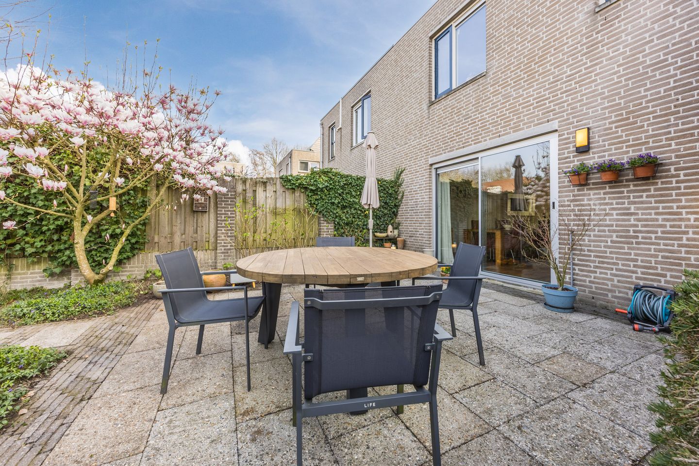 Photo 44 of Regenwulp 13