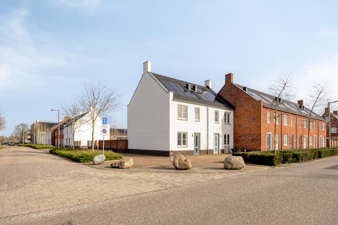 Photo 32 of Potbeker 55