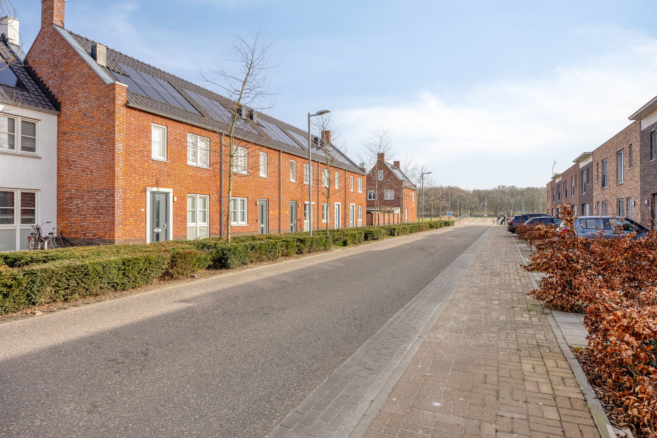 Photo 33 of Potbeker 55