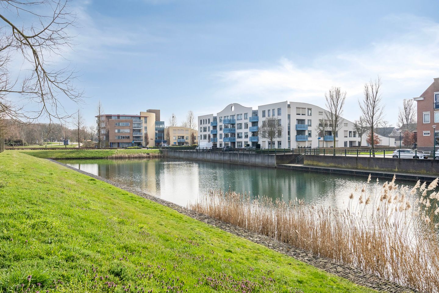 Photo 35 of Potbeker 55