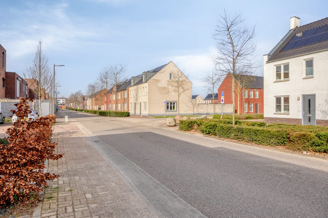 Photo 31 of Potbeker 55