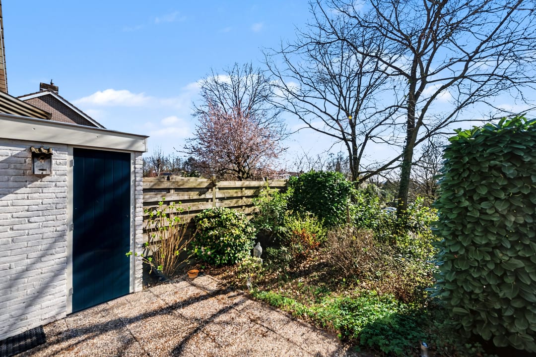 Photo 28 of Molenberg 63