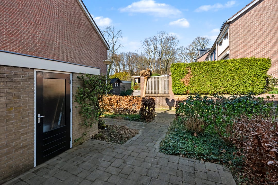 Photo 32 of Molenberg 63