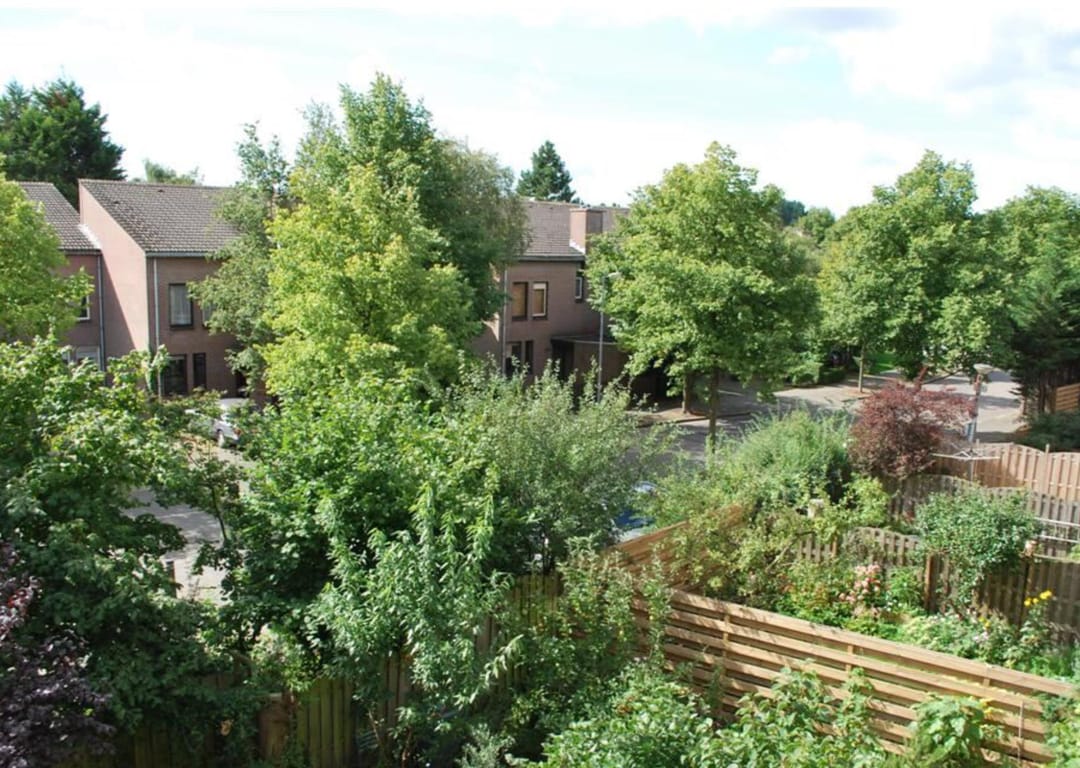 Foto 11 van Winkelwaard 21