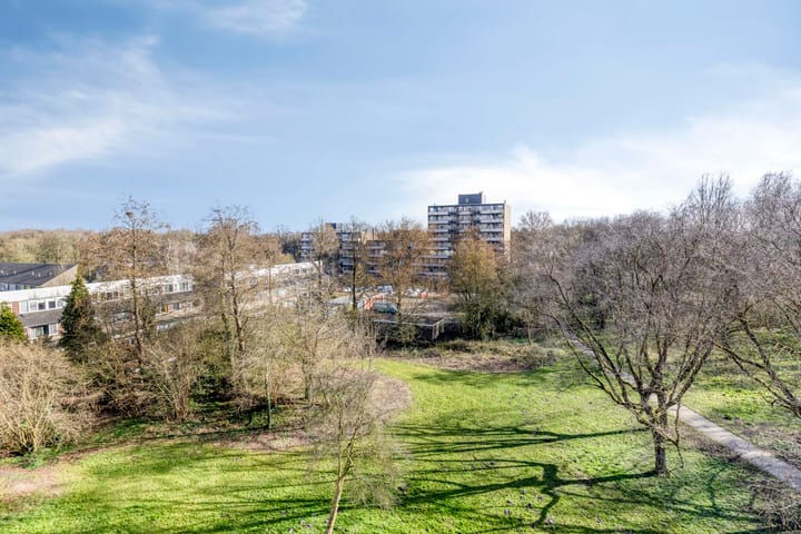 Foto 4 van Top Naefflaan 87