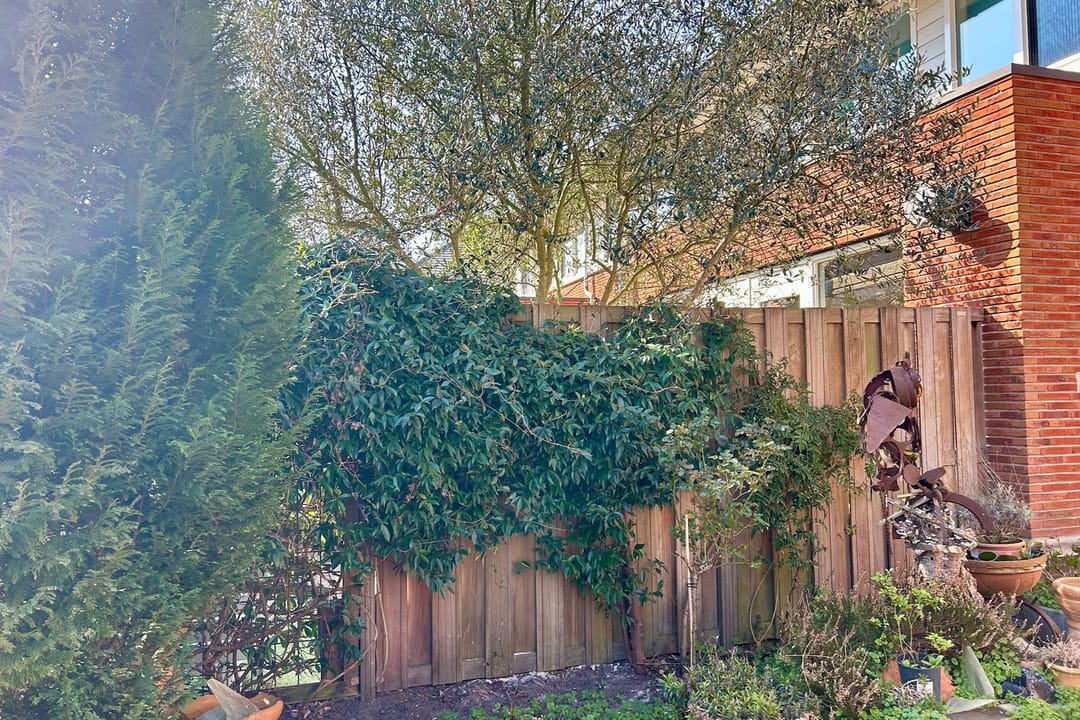 Photo 13 of Molensingel 56