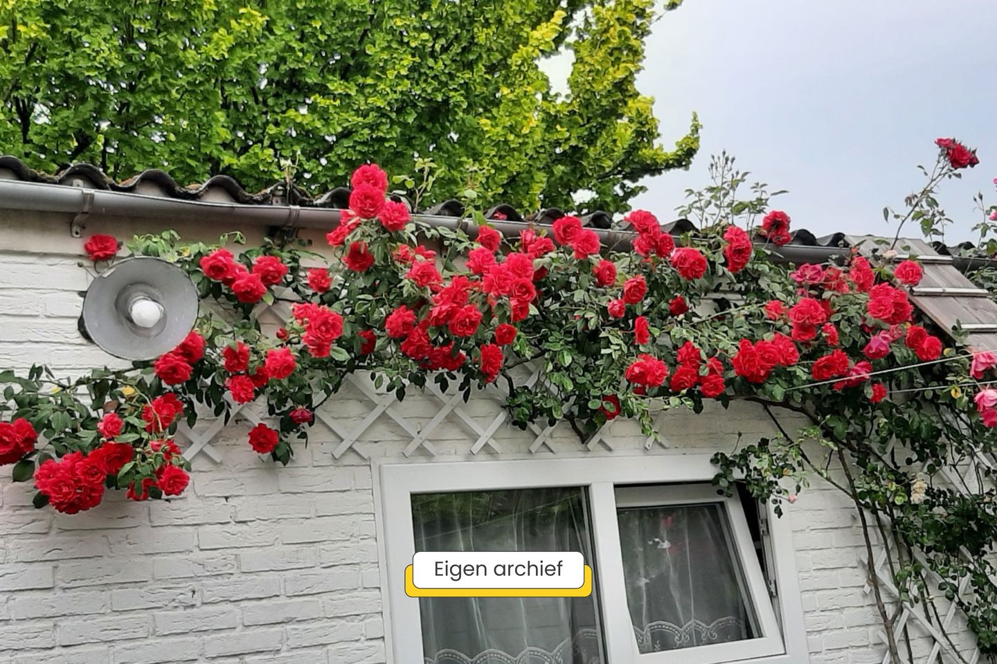 Foto 50 van Vrouwemadestraat 24