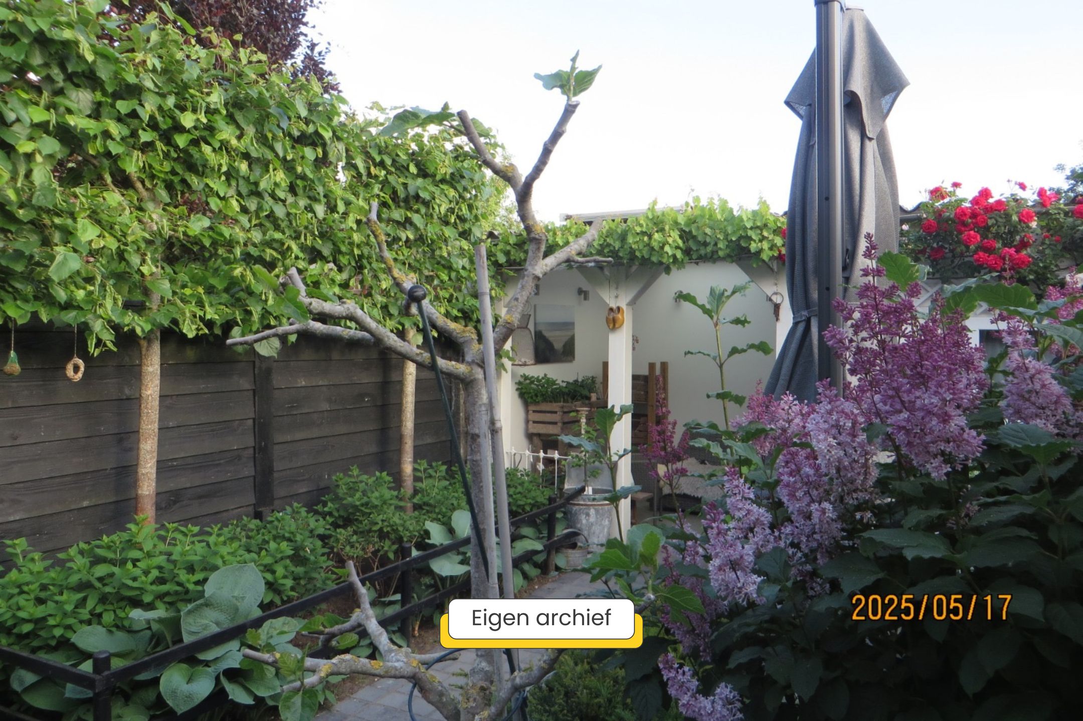 Foto 51 van Vrouwemadestraat 24