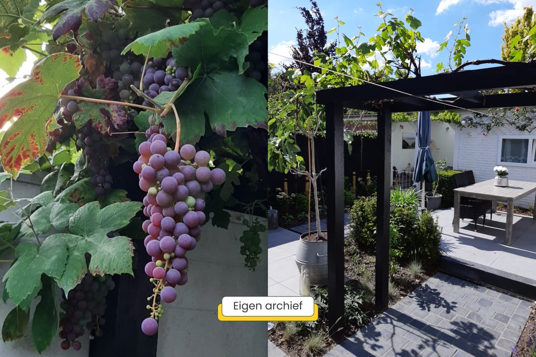 Foto 52 van Vrouwemadestraat 24