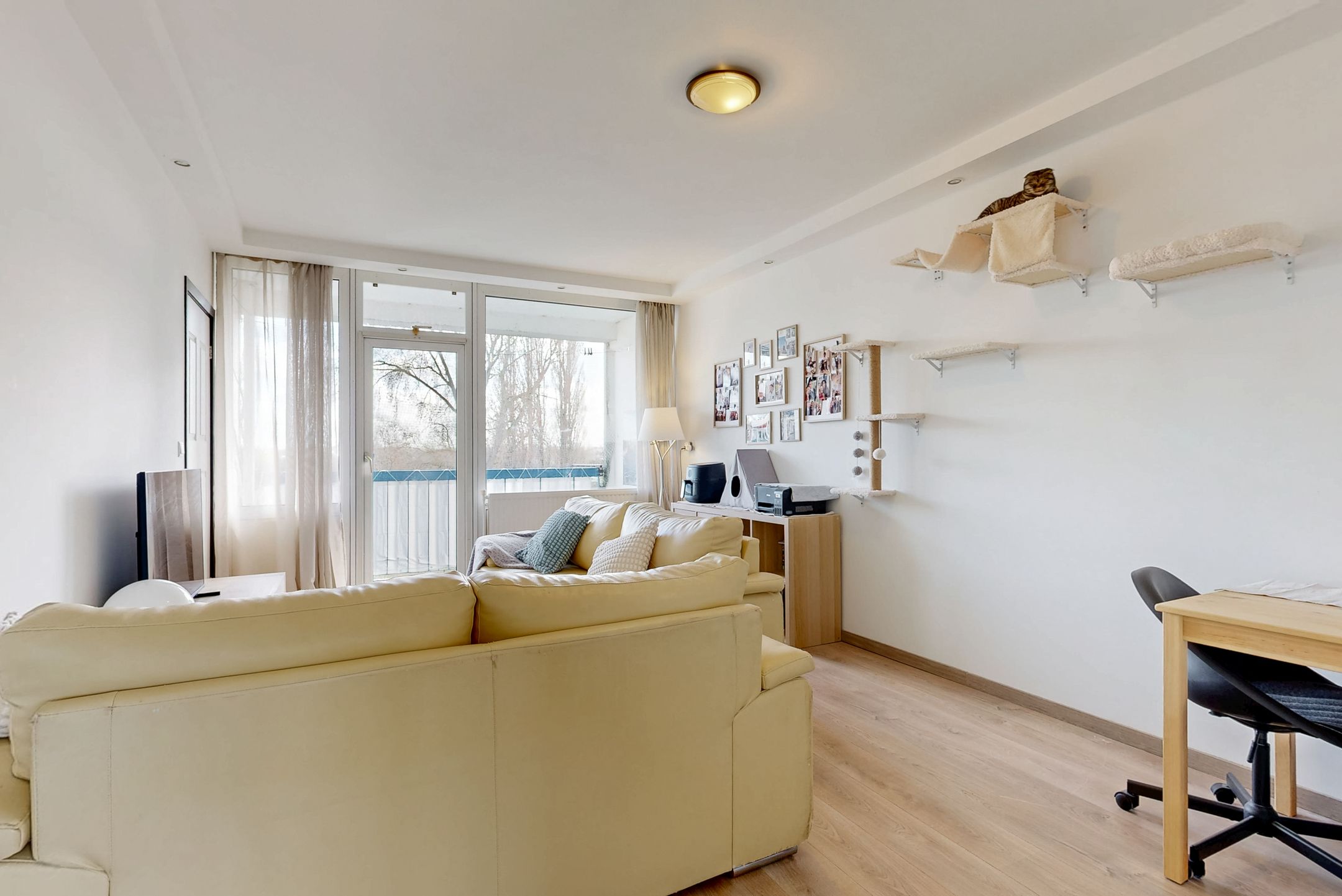 Foto 6 van Linnaeusstraat 232