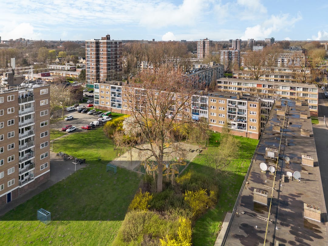 Foto 26 van Linnaeusstraat 232