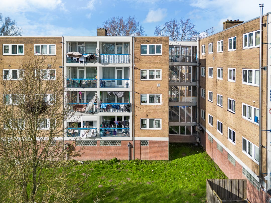 Foto 23 van Linnaeusstraat 232