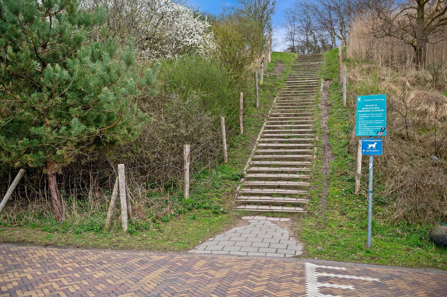 Foto 59 van Duinslag 61