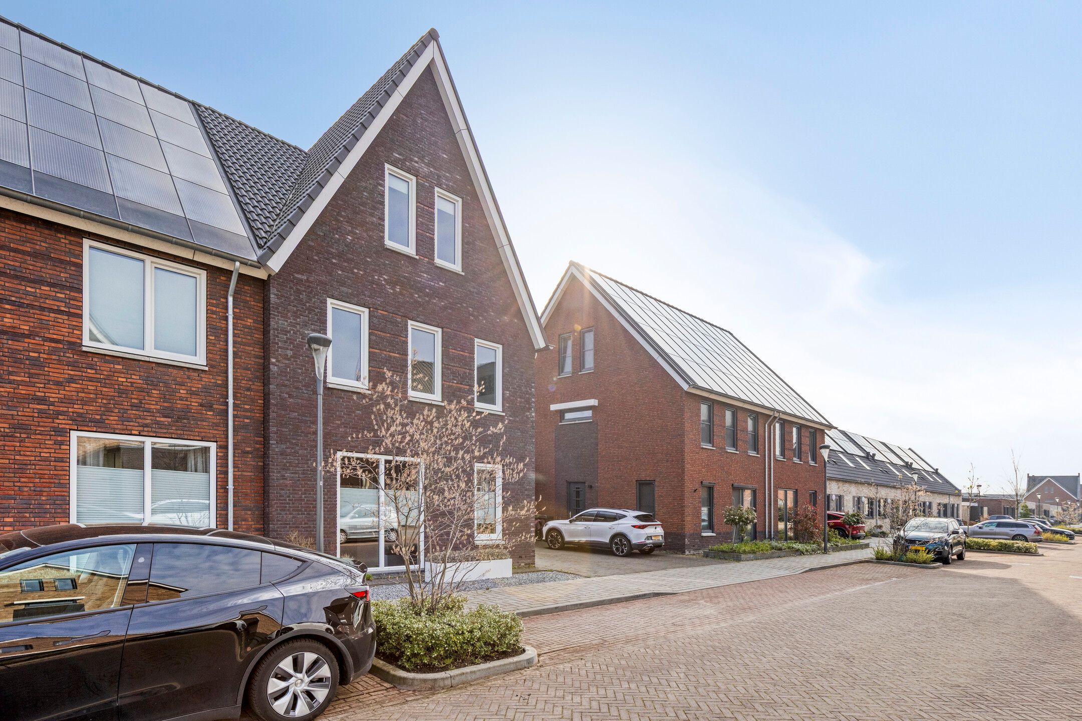 Foto 6 van Snijpaardje 36