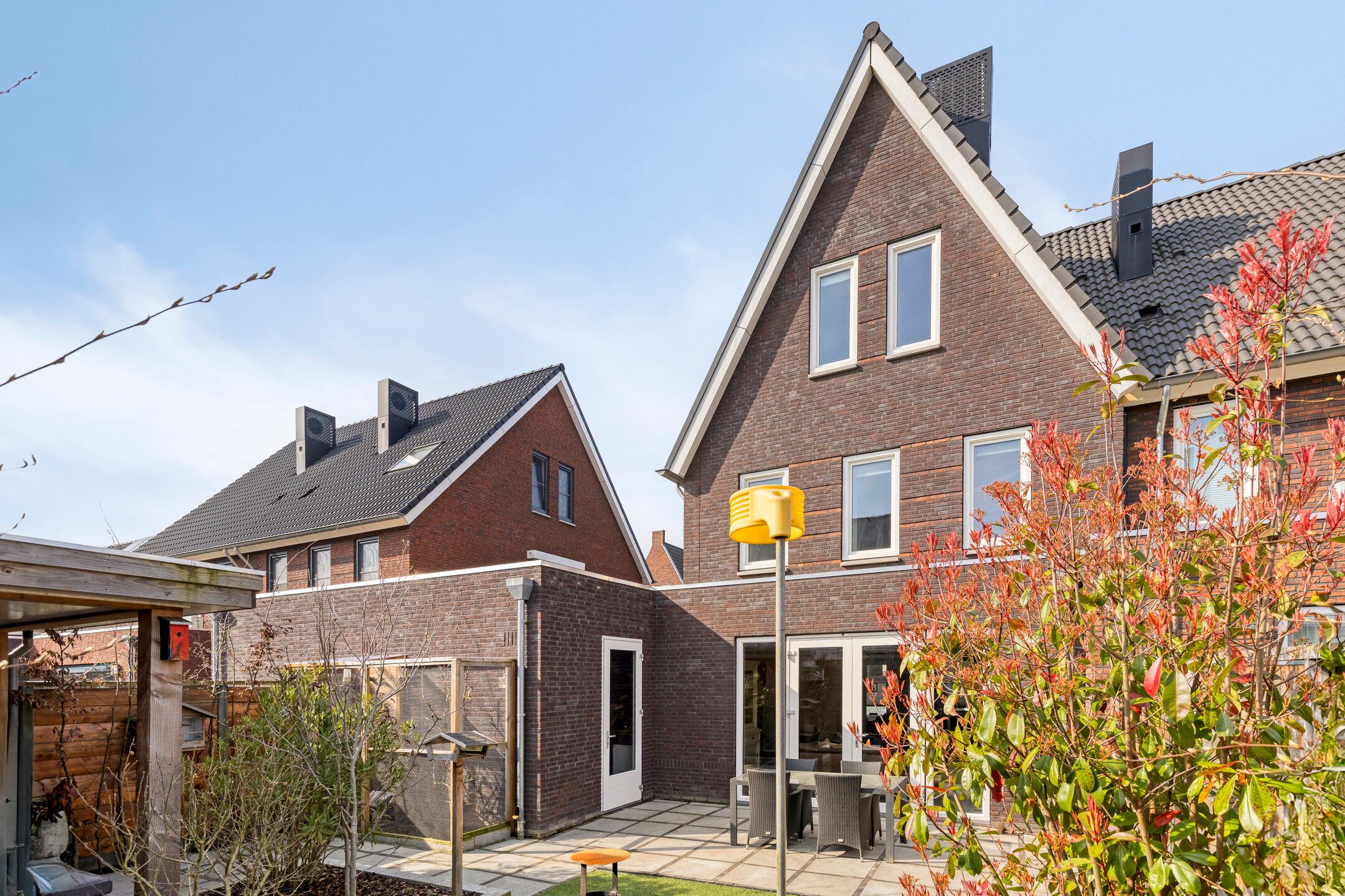 Foto 36 van Snijpaardje 36