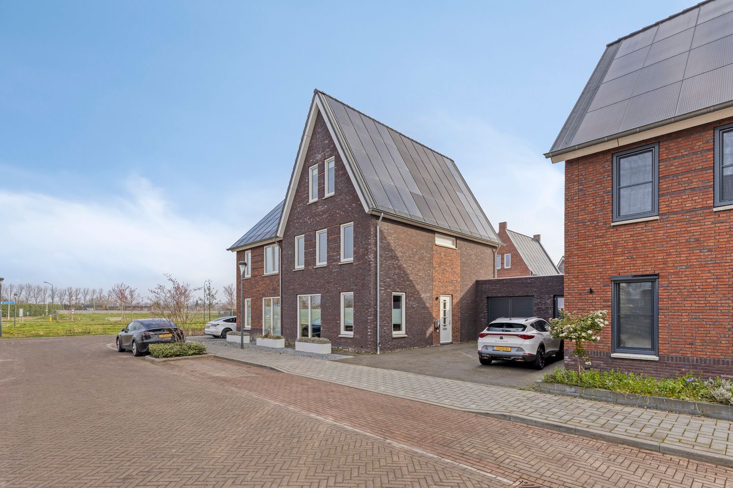 Foto 5 van Snijpaardje 36