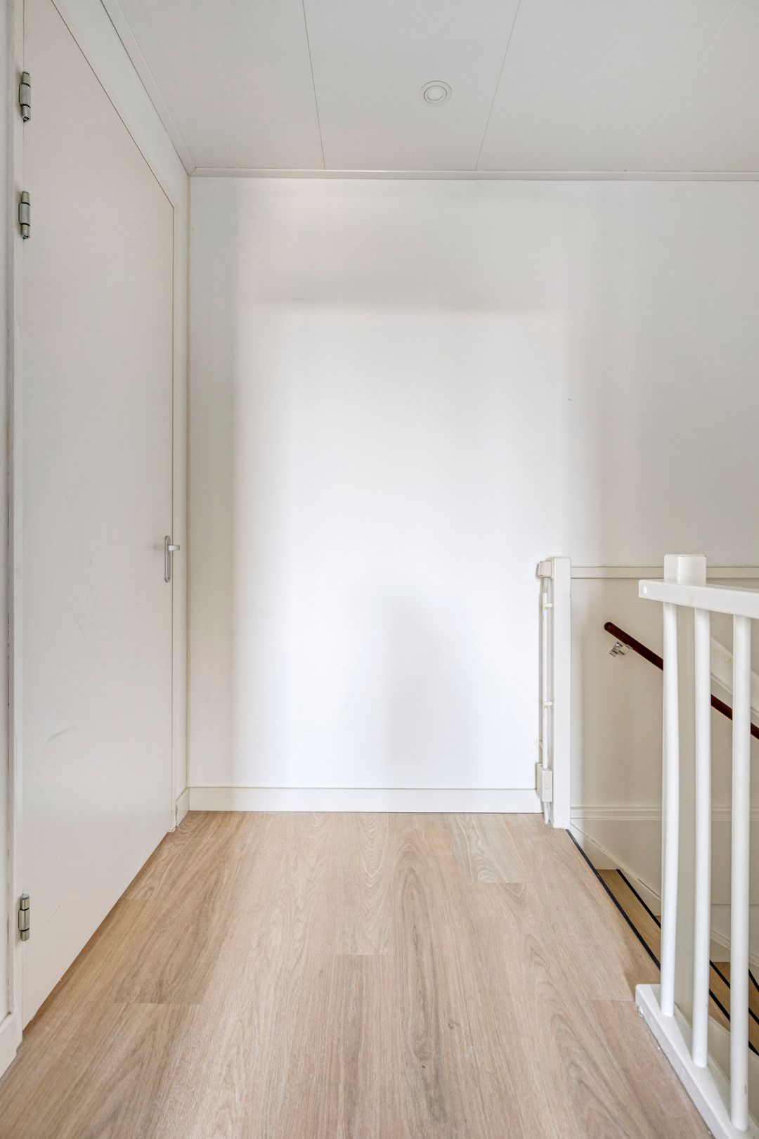 Foto 26 van Snijpaardje 36