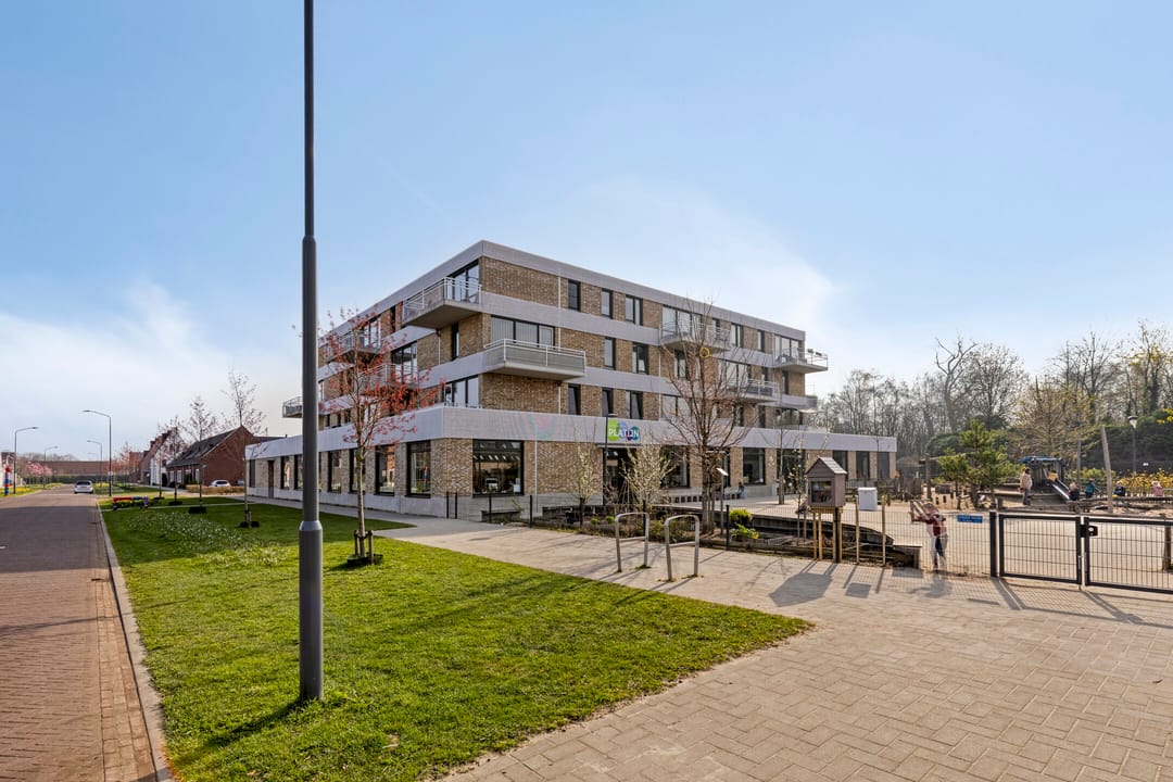 Foto 41 van Snijpaardje 36