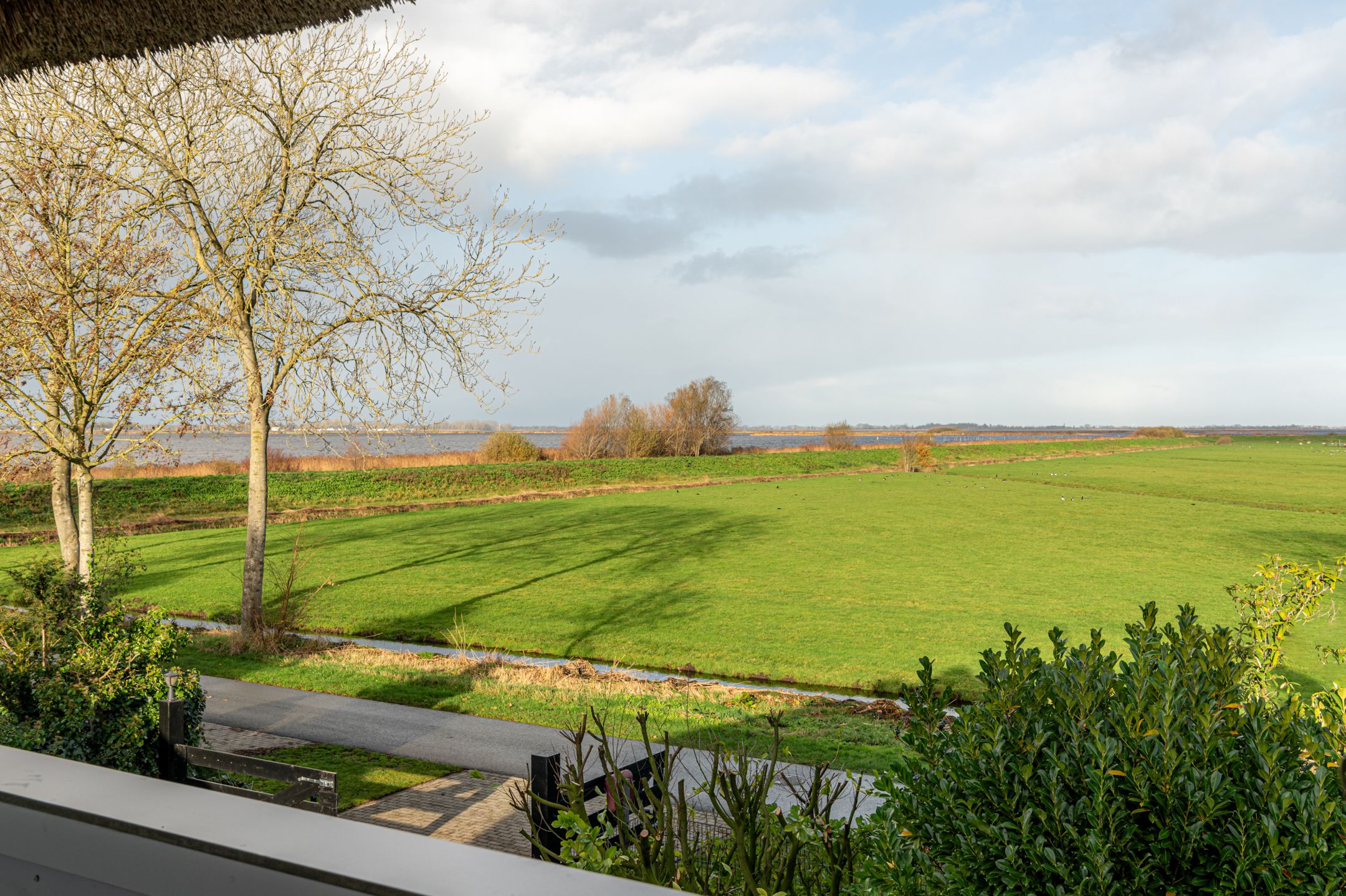 Photo 24 of It String 55