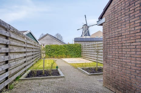 Fazant 19 secondary image