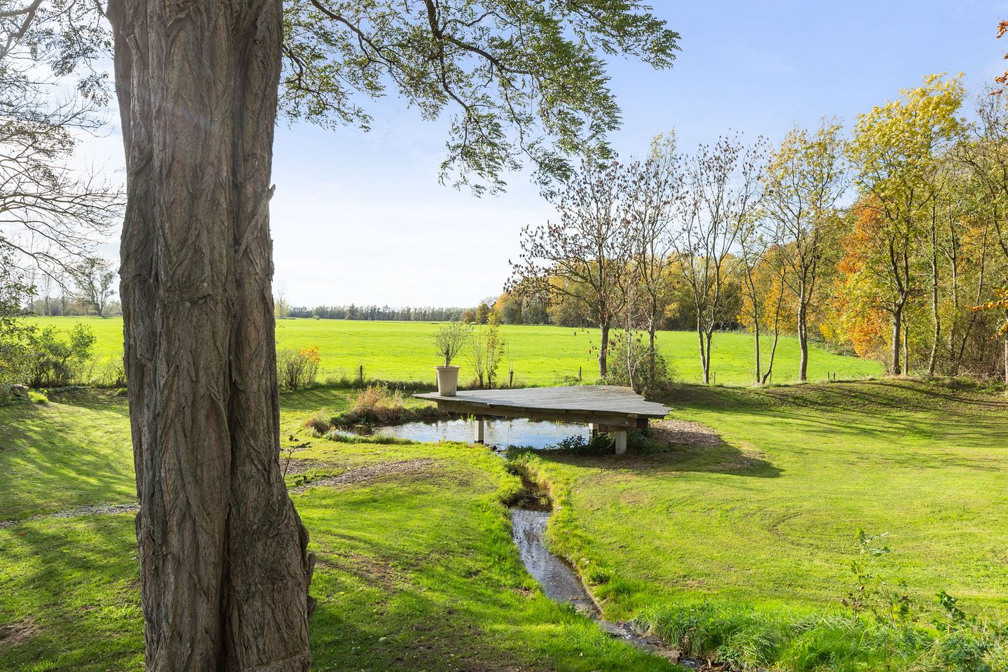 Photo 80 of Kletterstraat 27