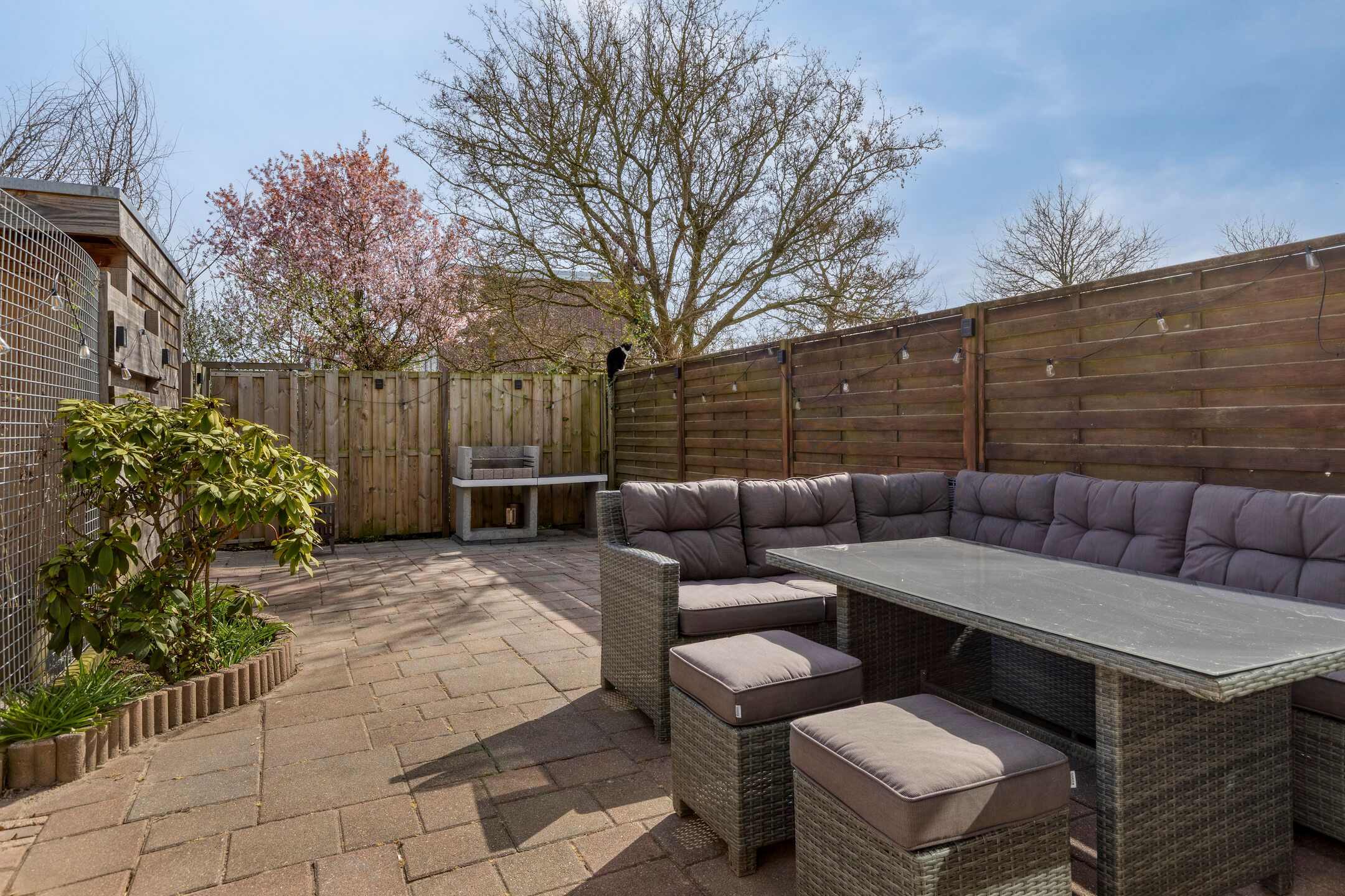 Photo 18 of Rozemarijn 17