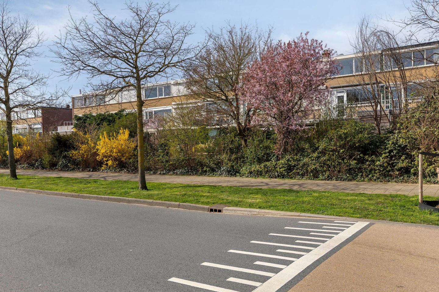 Photo 25 of Rozemarijn 17