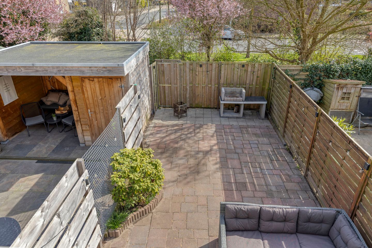 Photo 19 of Rozemarijn 17