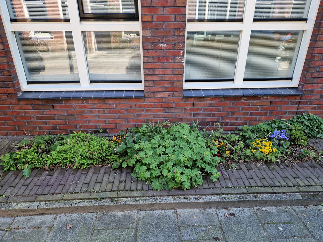 Foto 2 van Bekkerstraat 11