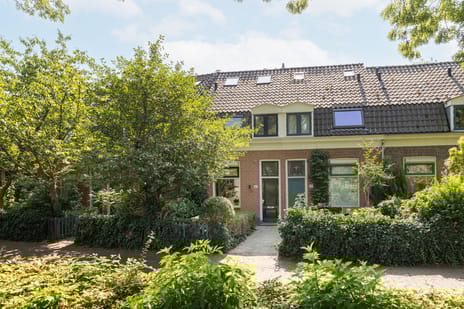 Leliestraat thumbnail